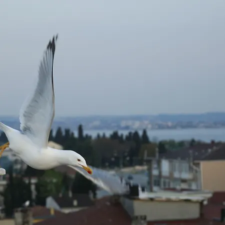 Tuzla Garden & Otel Darıca
